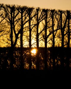 A Arte de Recomeçar